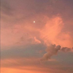 Meet your Posher, Ashlee